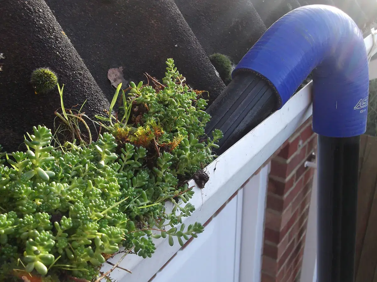 gutter cleaning with a vacuum