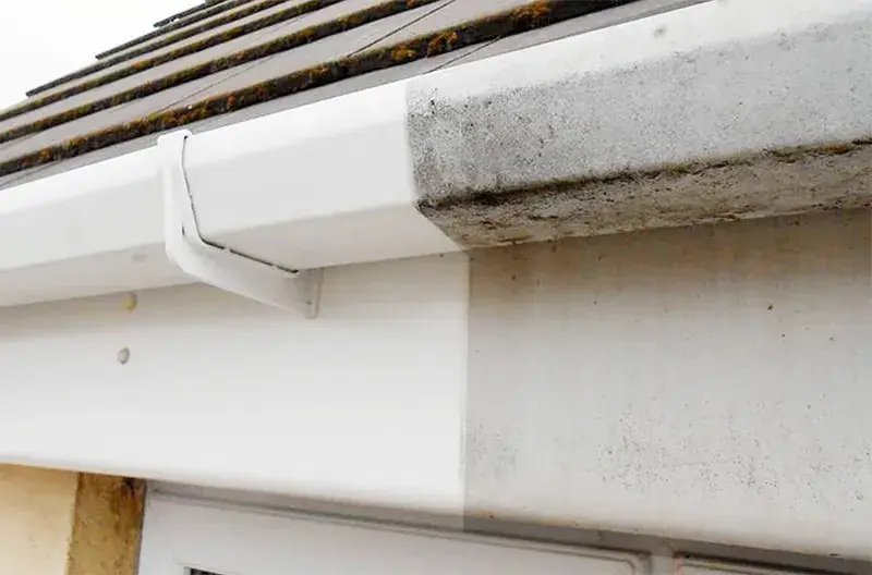 fascia & soffit cleaning
