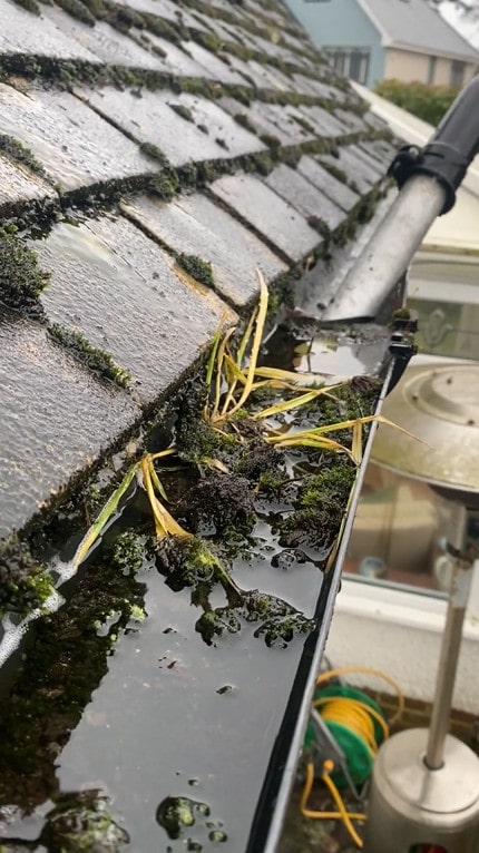 camera footage of gutter cleaning in bournemouth using a long pole and vacuum