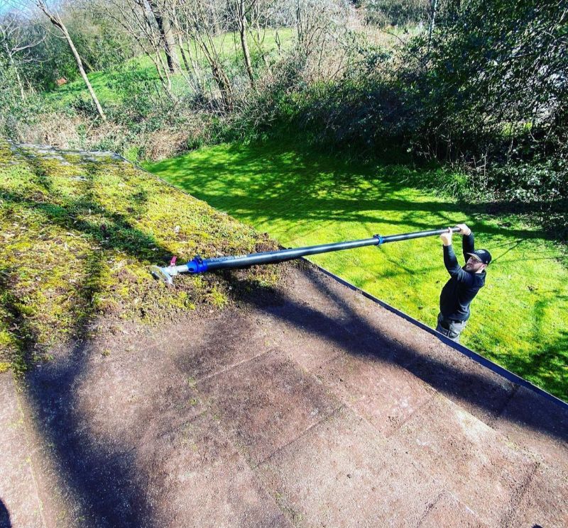 roof moss removal with long pole